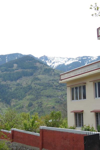 Apple Tree Luxury Cottage No.5 - Best Mountain Face Cottage in Kullu Manali