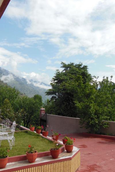 Apple Tree Luxury Cottage No.5 - Best Mountain Face Cottage in Kullu Manali