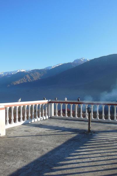 Apple Tree Luxury Cottage No.5 - Best Mountain Face Cottage in Kullu Manali