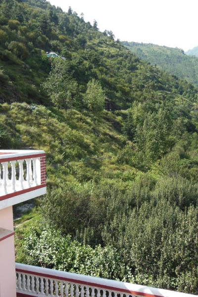 Apple Tree Luxury Cottage No.5 - Best Mountain Face Cottage in Kullu Manali