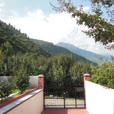 Apple Tree Luxury Cottage No.5 - Best Mountain Face Cottage in Kullu Manali