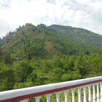 Apple Tree Luxury Cottage No.5 - Best Mountain Face Cottage in Kullu Manali