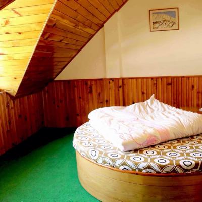 Apple Tree Premier Cottage No.2 - Mountain Face Cottage Near Mall Road in Manali