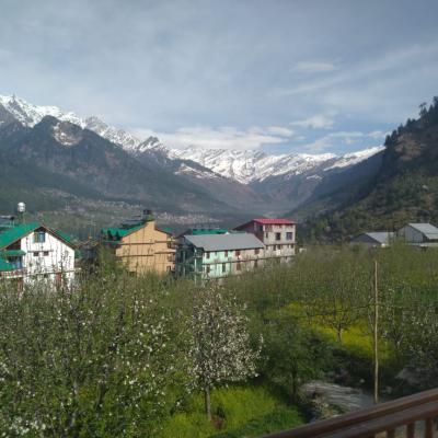 Apple Tree Premier Cottage No.2 - Mountain Face Cottage Near Mall Road in Manali