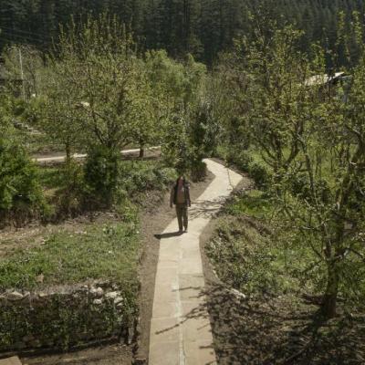 Apple Tree Premier Cottage No.6 - Four Bedroom Family Holiday Cottage in Manali