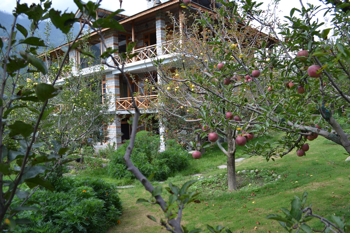 Apple Tree Premier Cottage No.1