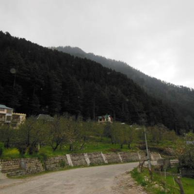 Apple Tree Premier Cottage No.6 - Four Bedroom Family Holiday Cottage in Manali